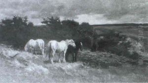 Ponies On A Moor