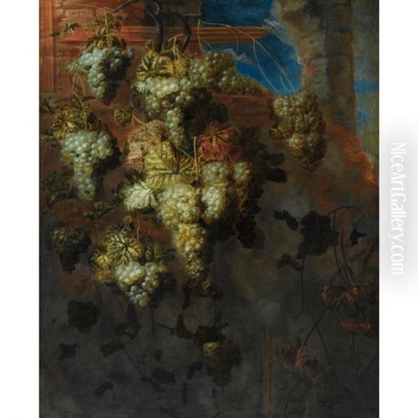 Nature Morte A La Treille De Raisin - view 1