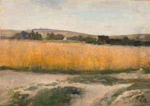 Sommerlandschaft Sommerlandschaft