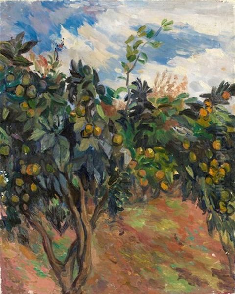 Orange Tree With Fruits - view 1