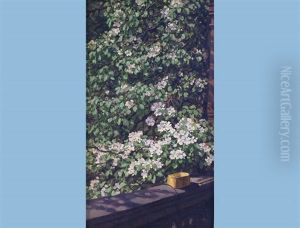 Spring In Kyrnberg