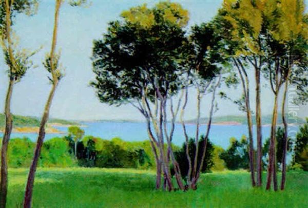 Landschaft Auf Brioni - view 1