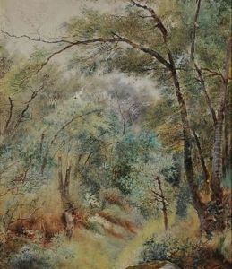 Bosco Di Fontainbleau A Parigi