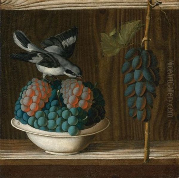 Still Life Of Grapes With A Gray Shrike - view 1