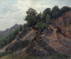 Verlassener Steinbruch (im Wachwitzer Grund Bei Dresden)