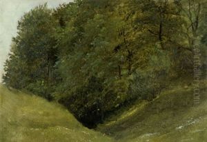 Studie Eines Waldhangs Im Sommer by Eduard Emil August Leonhardi