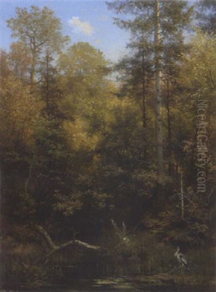 Walddickicht In Herbstlichen Farben - view 1