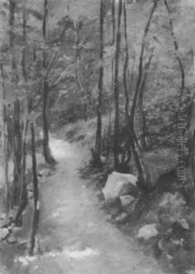 Waldweg Mit Felsbrocken Waldweg Mit Felsbrocken
