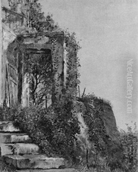 Der Aufgang In Den Weinberg - view 1