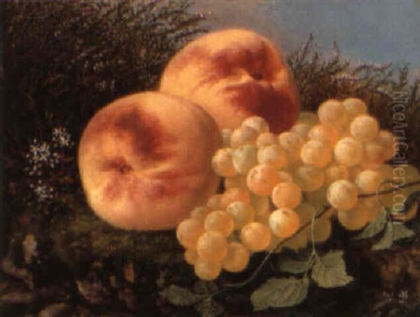 Peaches And Grapes On A Mossy Bank - view 1