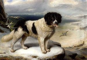 "rome" - Chien De Terre-neuve by Francois Gabriel Guillaume Lepaulle