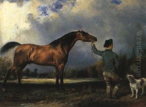 Cheval De Course Et Son Jockey