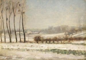 Peupliers Sous La Neige