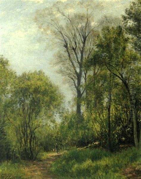 Chemin Boise - view 1