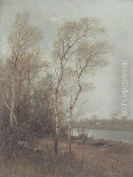 Fluslandschaft - view 1
