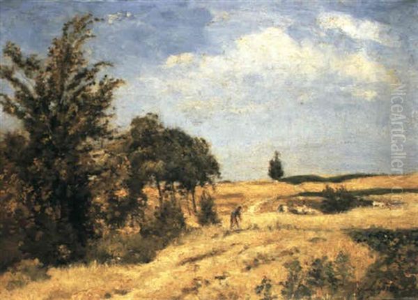 Moissonneur Dans Le Champ De Ble - view 1