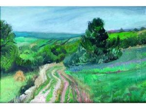 Chemin Dans Les Champs