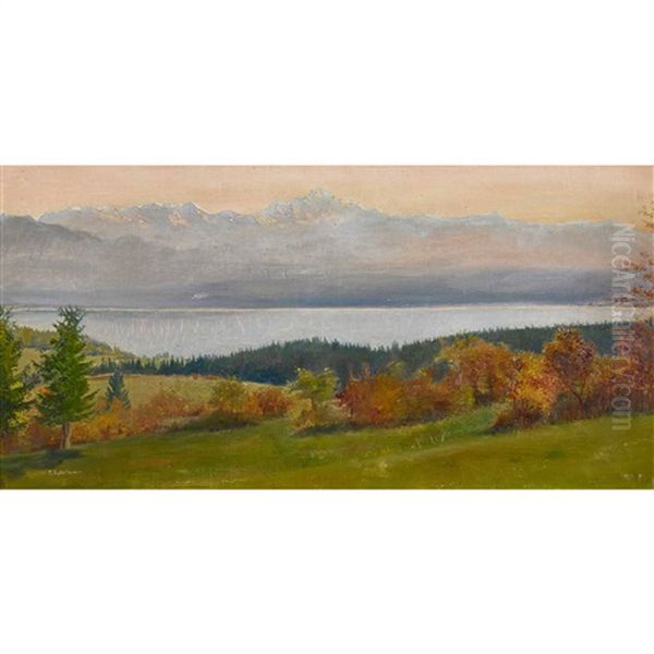 Neuenburgersee Mit Blick Auf Den Mont Blanc - view 1