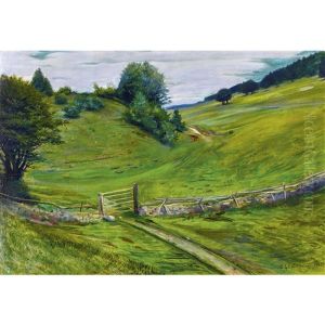 Hugelige Landschaft Mit Zaun