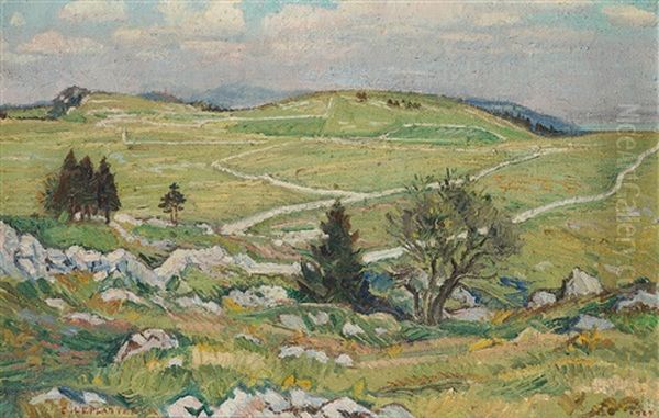 Mont Racine - view 1