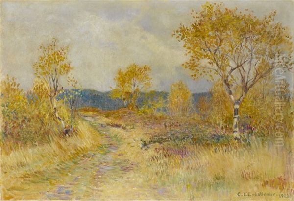 Landschaft Mit Birken Im Fruhling - view 1