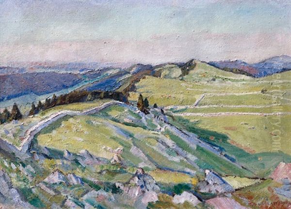 La Motte, Geneveys Sur Coffrane - view 1