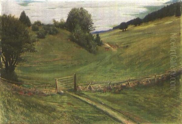 Landschaft Mit Mauer Und Gatter - view 1