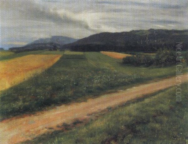Sommerlandschaft Mit Getreidefeldern - view 1