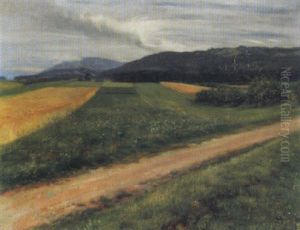 Sommerlandschaft Mit Getreidefeldern