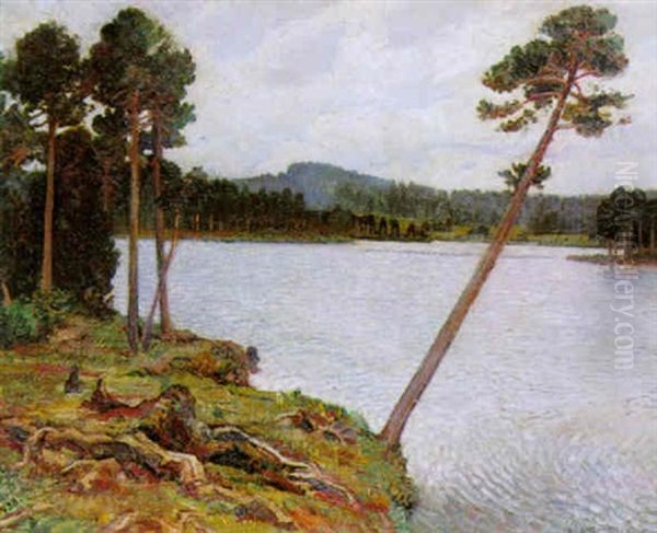 Etang De Gruyere - view 1