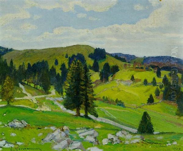 Vue Des Alpes, Coup De Soleil - view 1