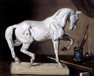 Nature Morte A L'ecorche De Cheval