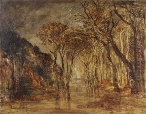 Arbres Au Bord De La Riviere - view 1