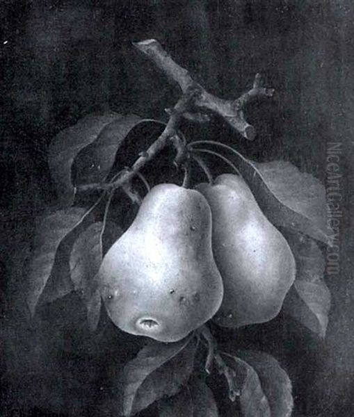 Pears - view 1