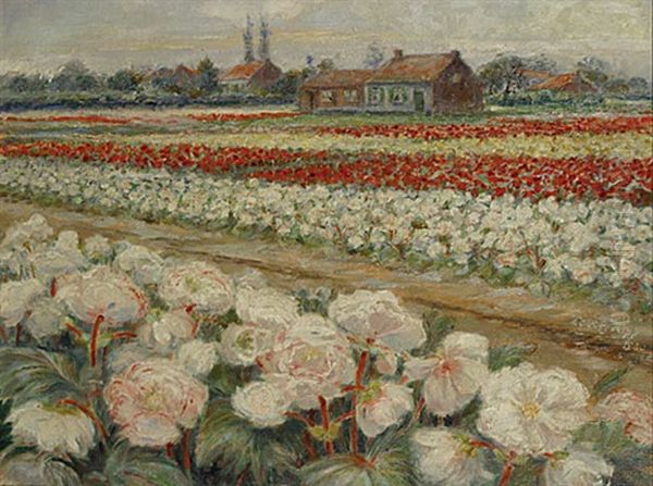 Bloemenvelden - view 1