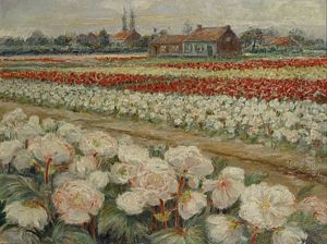 Bloemenvelden