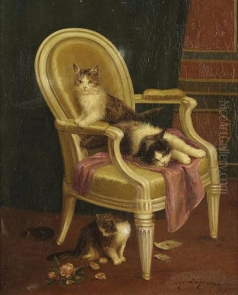 Chatons Sur Un Fauteuil Louis Xvi - view 1