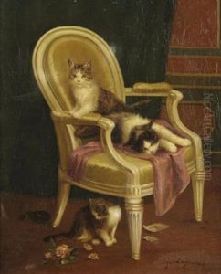 Chatons Sur Un Fauteuil Louis Xvi