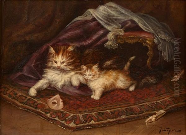 Chatte Et Son Chaton Jouant Avec Un Masque - view 1