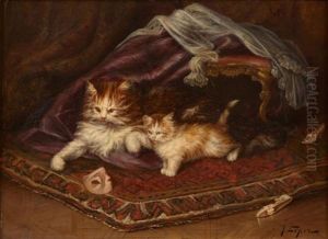 Chatte Et Son Chaton Jouant Avec Un Masque