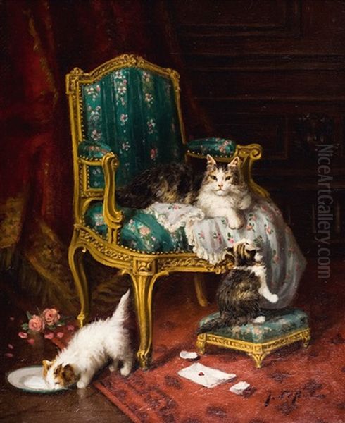 Les Chats - view 1
