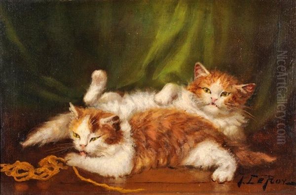Chats Endormis - view 1