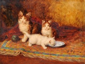 Chatons Et Assiette De Lait
