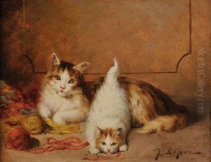 Deux Chats Jouant Avec Des Pelotes De Laine