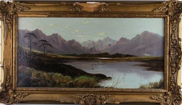 Landscape - view 1