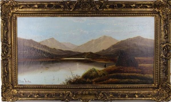 Landscape - view 1