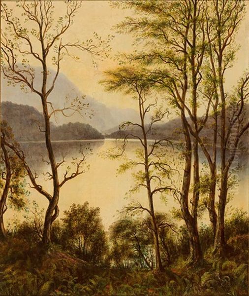 Malerische Seenlandschaft - view 1