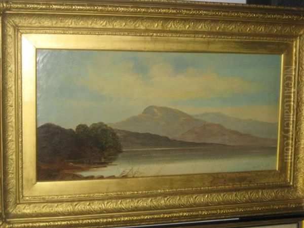 Mountain Lake With Fisherman - view 1