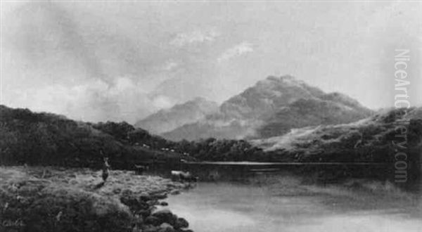 Schottisches Hochland - view 1