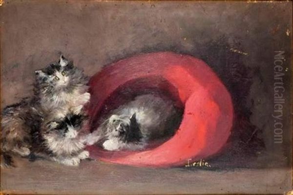 Trois Chatons - view 1